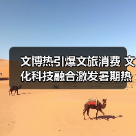 文博热引爆文旅消费 文化科技融合激发暑期热情(图4) 文博热引爆文旅消费 文化科技融合激发暑期热情(图4)