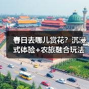 春日去哪儿赏花？沉浸式体验+农旅融合玩法大公开