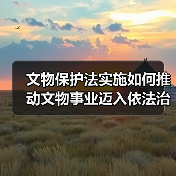 文物保护法实施如何推动文物事业迈入依法治理新阶段？