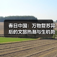 春日中国：万物复苏背后的文旅热潮与生机勃发