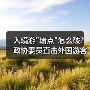 入境游 入境游