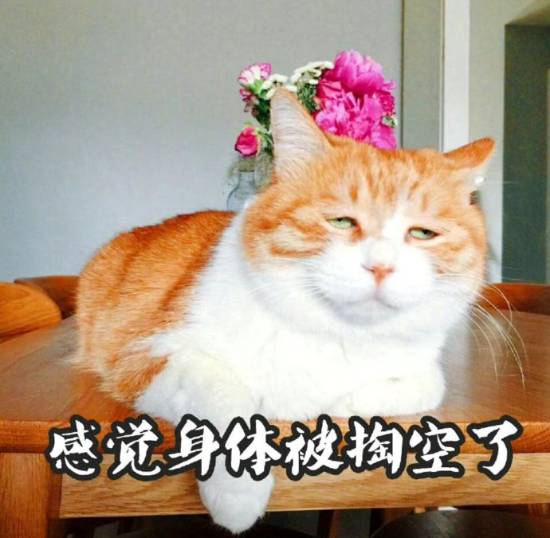 一到年底就浑身没劲，原来是身体在发出这三个求救信号